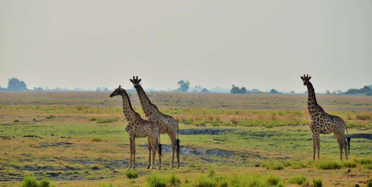 Cresta Mowana Safari Resort & Spa Kasane Exterior photo
